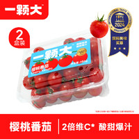 一颗大 颗大™ 樱桃番茄 生吃小西红柿 水果生鲜 便携装 486g*2盒 源头直发