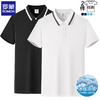 ROMON 罗蒙 冰丝短袖t恤男 黑色+白色 XL(建议体重140-155斤)