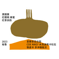 治光师 BEAM TIMER秘鲁COE#10精品瑰夏手冲咖啡豆单品浅烘冷萃豆100g