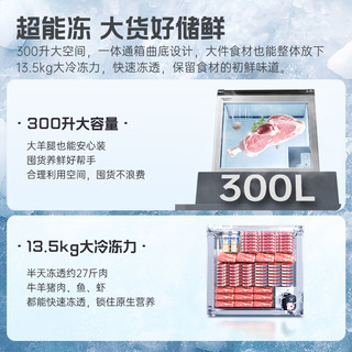 澳柯玛（AUCMA）300升商用家用冰柜冷藏柜冷冻柜 单温低霜小冷柜 一级能效 天际线系列 BC/BD-300HSNE