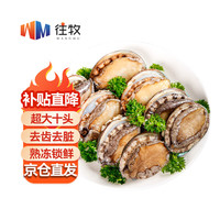 往牧 三去大鲍鱼 10头 新鲜熟冻 去齿去内脏 鲜活冷冻 生鲜贝类 端午 *3袋