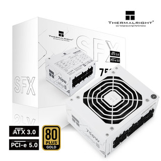 利民（Thermalright）额定650W TR-TGFX650 金牌全模组电源SFX ATX3.0 电脑电源压纹线版金牌电源台式电源 TR-TGFX 750-W SFX金牌全模组白色