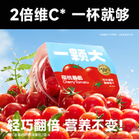 88VIP：一颗大 樱桃番茄红樱桃番茄350g*4杯小西红柿
