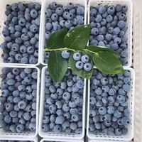 鮮程祥合 藍莓 125g*6盒 單果12-14mm