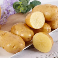 88VIP：鲁韵忆乡 山东黄皮大土豆应季新出马铃薯黄心土豆2.5kg新鲜蔬菜产地直发