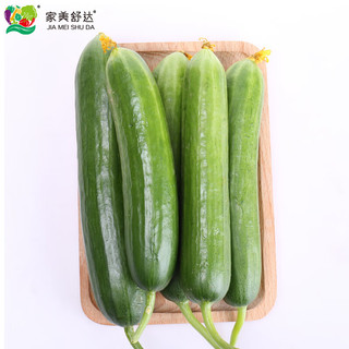 家美舒达山东农特产 水果黄瓜 1kg 小黄瓜  轻食 新鲜蔬菜