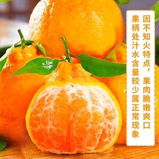 others 其他 四川不知火丑橘5斤中果约16个 新鲜水果 整箱包邮