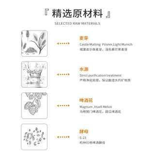 【建盏】厚浪ipa精酿啤酒拉格艾尔德式小麦生啤鲜啤原浆啤酒整箱