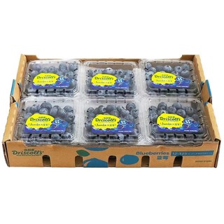 柚萝 蓝莓 125g*6盒 单果12-14mm