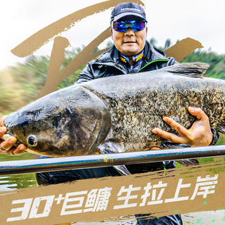 汉鼎一号鲢鳙版鱼竿台钓竿鲢鳙竿钓竿大物竿休闲野钓综合竿钓鱼竿手竿 7.2m 鲢鳙竿送竿稍