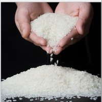 芯米 五常大米稻花香2号真空包装年度销冠5kg
