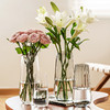 点意 花瓶摆件客厅插花轻奢高级感透明玻璃水培水养鲜花玫瑰专用网红小