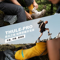 ZEALWOOD赛乐美丽诺羊毛袜柔软舒适透气排汗抑菌旅行徒步攀登的男女款袜 芥末黄（全面加厚1双） M