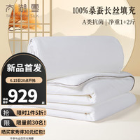 太湖雪蚕丝被芯100%桑蚕长丝夏凉被空调被子母被二合一全棉A类抗菌四季