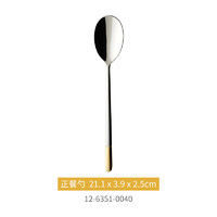 德国唯宝 艾拉金系列 进口18/10不锈钢金边正餐勺 21.1*3.9cm