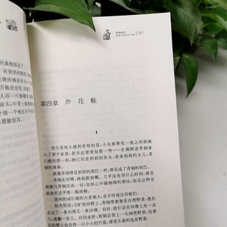                                                                                 青铜葵花曹文轩 入选人教社四年级下语文教材 一线名师全套完整版 课外阅读 暑期阅读 课外书 