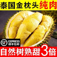 共雅泰国树山熟新鲜应季金枕榴莲肉 精选泰国金枕榴莲肉 泰国金枕榴莲肉 精品一盒 400g