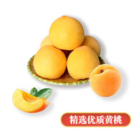 粮麦思 麦思蒙阴蜜桃黄金油桃20-24粒净重4.5斤单果120g起 新鲜水果 源头直发