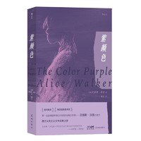 20点开始：《紫颜色》