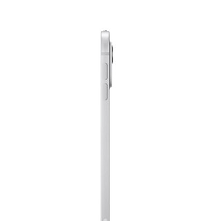 Apple/苹果【Pencil Pro套装】 iPad Pro 11英寸M4芯片 2024年平板电脑(1T WLAN版/纳米纹理玻璃)银色 11英寸 银色