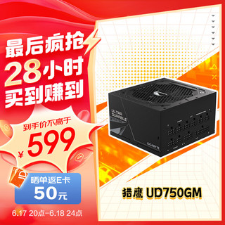 GIGABYTE 技嘉 750GM 金牌（90%） 全模组ATX电源 750W