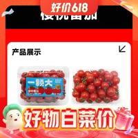 一颗大 樱桃番茄 486g*2盒