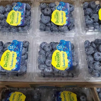 新鲜蓝莓大果单果12-15mm 整箱12盒装