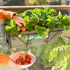 88VIP：DEEPBANG 深邦 阳台种菜草莓盆栽专用盆塑料花盆家庭阳台蔬菜长方形葱种植箱