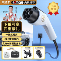 菱动力随车充电枪充电桩 便携式新能源电动汽车充电器 比亚迪特斯拉蔚来五菱宏光mini通用8/16A3.5kw 【央视推荐】纯铜线芯+充满自停 一体式枪头3米