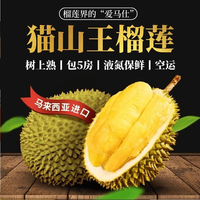 隆盛斋猫山王榴莲D197马来西亚树熟榴莲液氮带壳当季新果 猫山王D197榴莲 4-4.5斤/装保4房