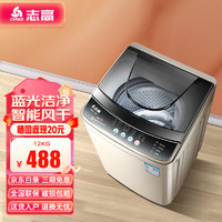 CHIGO 志高 全自动洗衣机12KG波轮家用 智能洗脱一体机