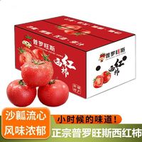 5斤陕西泾阳普罗旺斯现摘新鲜水果西红柿番茄蔬菜批发价