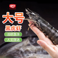 海天下 大号单冻黑虎虾400g 8-12只 火锅烧烤 海鲜水产 海天下黑虎虾盒装400g