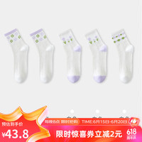 健将纯棉袜子女夏季薄款中筒袜无骨长袜女白色袜子女士袜子中筒袜 小紫花*2+小紫花绿叶*2+紫绿圆点 均码