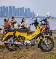 HONDA 新大洲本田 本田 经典复古梁弯摩托车HONDA CROSS CUB CC110 凝光黄 全款