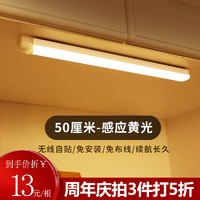 以典 led人体感应灯带楼道走廊橱柜衣柜灯镜前灯柜底灯家用小夜灯 500mm暖光单支装