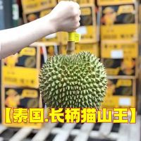 鲜木泰国长柄猫山王新鲜长柄榴莲新鲜带壳整个水果严选长柄猫山王 精选 长柄猫山王 2.5-3.5斤