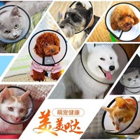 CAIBAN 彩伴 伊丽莎白圈猫咪头套绝育项圈防舔猫圈脖圈狗宠物伊莉莎白幼猫颈圈