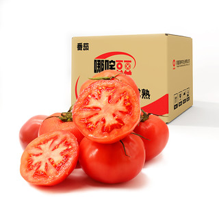 普罗旺斯新鲜自然熟西红柿 5斤