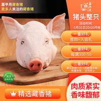 嘉平月藏香猪 西藏林芝藏香猪 黑猪肉 迎宾宴客 散养新鲜原生态源头直发 猪头整只【7.5斤】 藏香猪