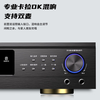 先科（SAST）DT-1000 家庭影院功放机 专业5.1环绕家用音响功放卡拉ok音频放大器AV功放USB接口蓝牙播放 【5.1/蓝牙】峰值650W