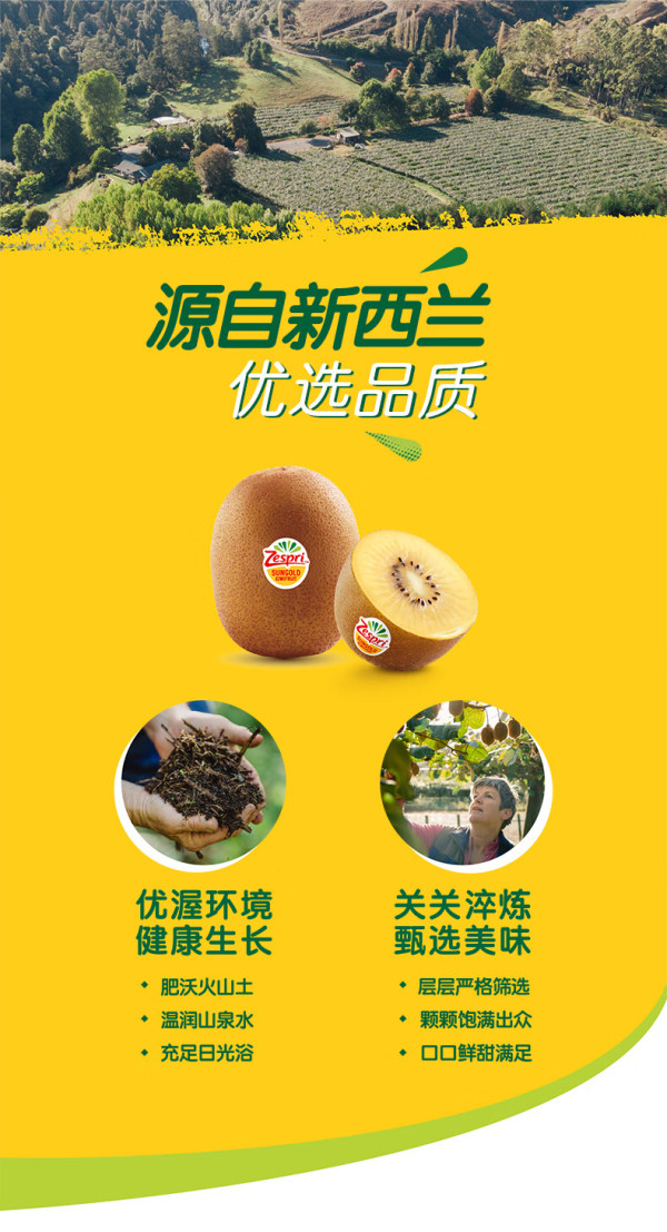 zespri 佳沛 阳光金果 奇异果 巨大果 单果146-174g 22个【报价 价格