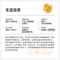 哥伦比亚裙子庄园 奇洛索 延长发酵水洗 手冲咖啡豆60g-colinplus