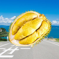 鲜木马来西亚猫山王榴莲D197液氮榴莲整果 马来猫山王榴莲 3.5 -4斤保4-5房