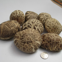 花菇哥 普惠款冬花菇500g-直径8~10cm香菇