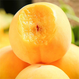 88VIP：鲜果海洋 山东黄桃4.5斤当季新鲜水果蜜桃毛桃香味浓郁多汁凌晨采摘