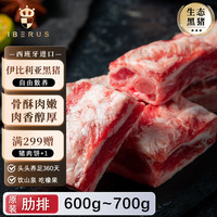 1BERUS 西班牙猪肉伊比利亚黑猪肉韩式烤肉食材五花肉冷冻去皮 伊比利亚黑猪肋排600-700g
