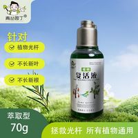 青丛园丁 花卉绿植园艺通用型营养液 复活液1瓶
