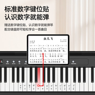 贝琪B176电子琴88键成人儿童便携入门幼师初学者电子钢琴 B133经典款61键-简约黑 标配套餐