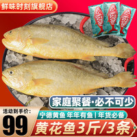 鲜味时刻 新鲜大黄鱼超大鲜冻黄花鱼生鲜鱼类 大黄鱼500g*3条